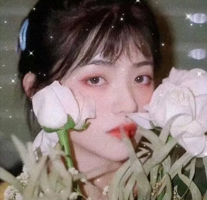 冰洋遇险